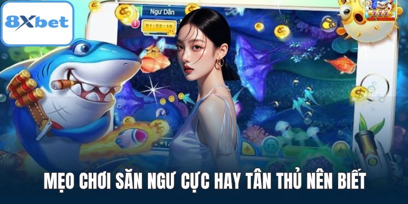 Mẹo chơi săn ngư cực hay tân thủ nên biết